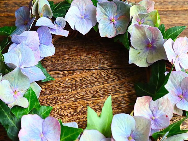 え？！知らなかった…紫陽花の終わりの美しさ