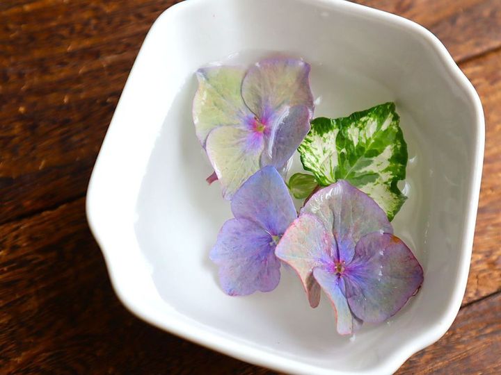 え？！知らなかった…紫陽花の終わりの美しさ