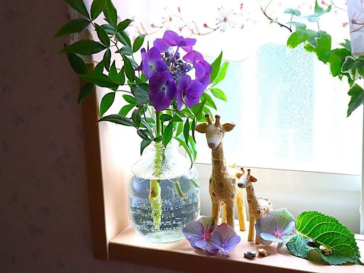 え？！知らなかった…紫陽花の終わりの美しさ