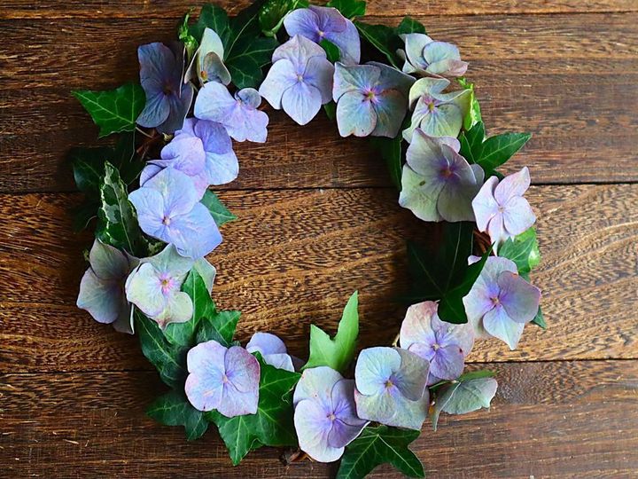 え？！知らなかった…紫陽花の終わりの美しさ