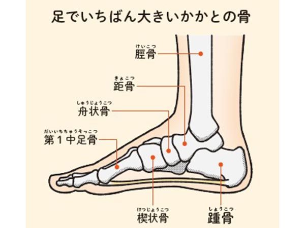 【セルフチェック1】転びやすい人は要注意！くるぶしの位置は左右平行？