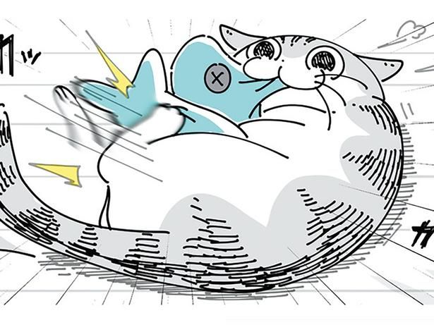新しいおもちゃで激しく遊んでいる猫 （C）キュルZ／KADOKAWA