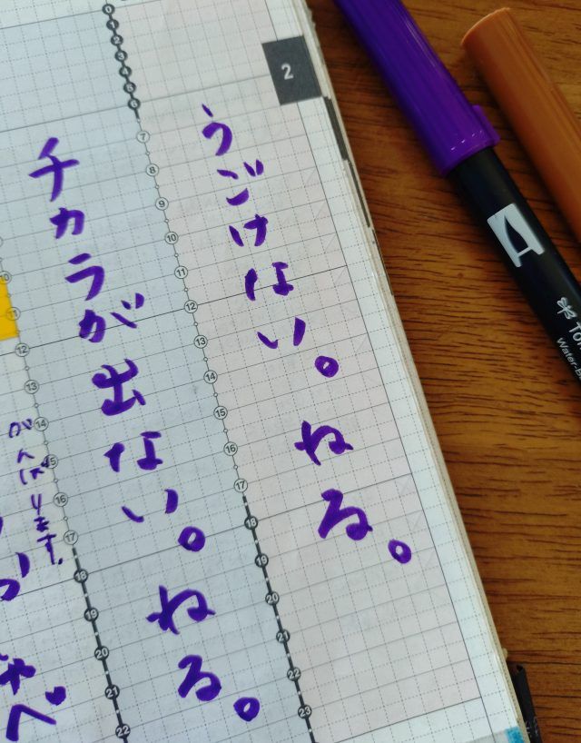 手帳の書き込み