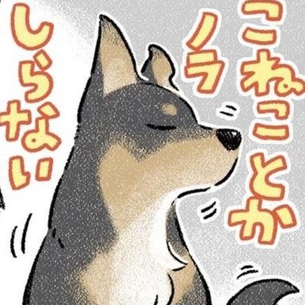 自分が拾ってきたのに知らんぷり!? 画像提供：(C)ヨシモフ郎／KADOKAWA