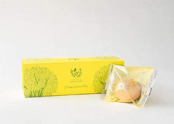 【沖縄県那覇市】沖縄の柑橘「ヒラミーレモン」を使った「ヒラミーレモンケーキ」がふるさと納税に登場