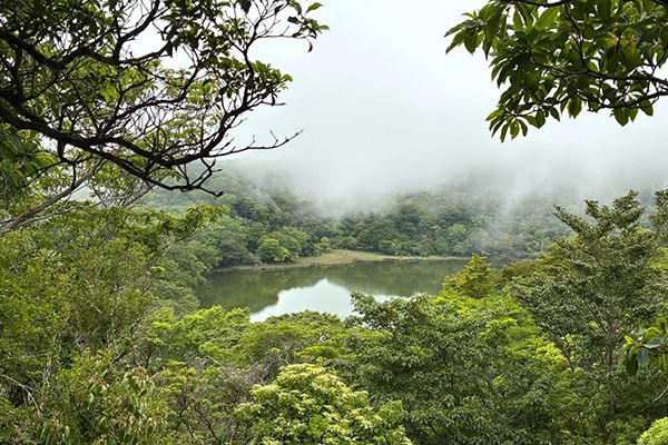 【静岡県伊豆市】静岡ガスが天城山でシカ食害の実態を学ぶツアー実施。トレッキングで見た食害の現実