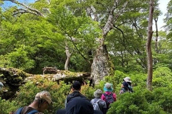 【静岡県伊豆市】静岡ガスが天城山でシカ食害の実態を学ぶツアー実施。トレッキングで見た食害の現実