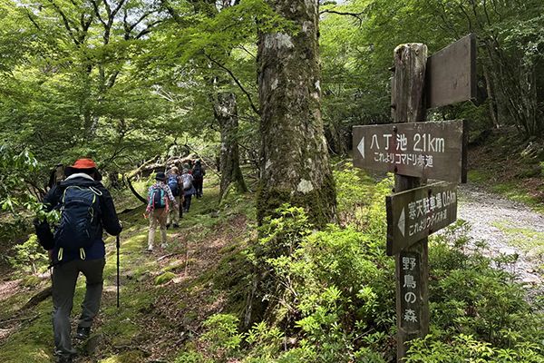 【静岡県伊豆市】静岡ガスが天城山でシカ食害の実態を学ぶツアー実施。トレッキングで見た食害の現実