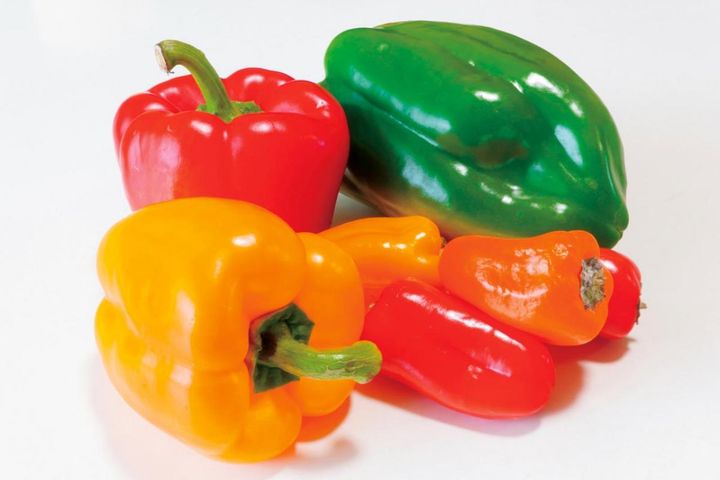 やせ体質になる【ピーマンの食べ方】を名医が伝授。脂肪の排出を促す意外なコツとは？