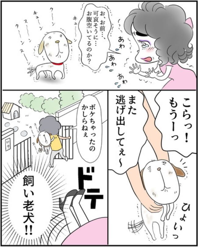 理想じゃない人を好きになった話／ナランフジコ