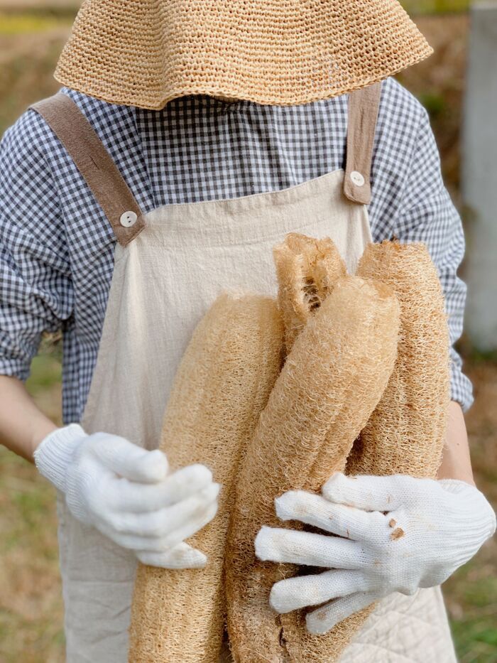 何度でも『畑』に感動してしまう理由。突然見知らぬモノが20本も！？⇨奇跡と感動にたくさん出会える♡