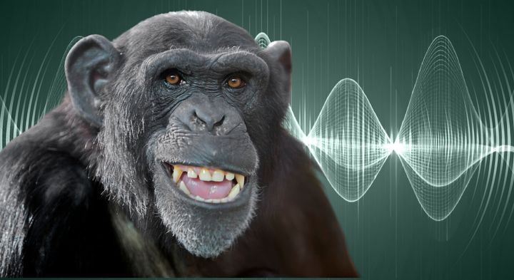 人類の祖先は「話す力」の前に「笑う力」を育てた──1500万年の進化史