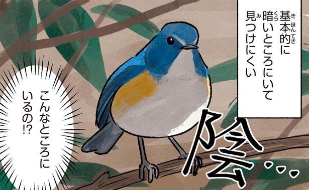 こんなところにいるの！？ （C）piro piro piccolo／KADOKAWA