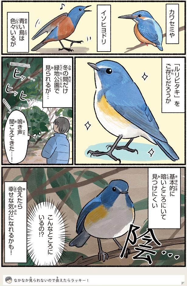 会えたら幸せな気分になれるかも… （C）piro piro piccolo／KADOKAWA