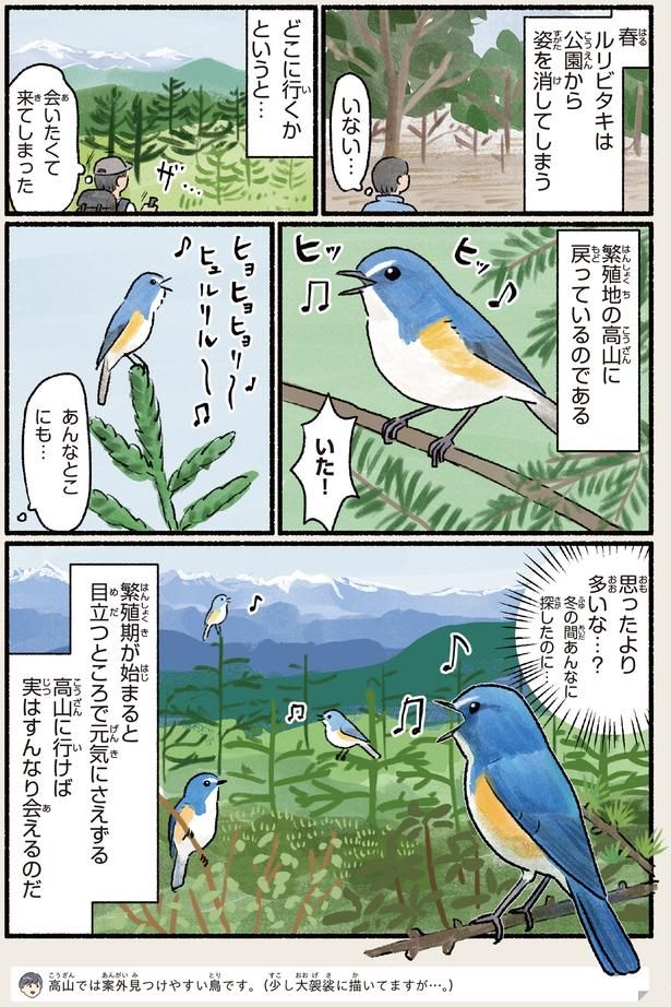 思ったより多いな…？ （C）piro piro piccolo／KADOKAWA