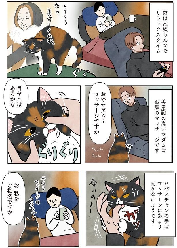 私をご指名ですか （C）かんさび／KADOKAWA