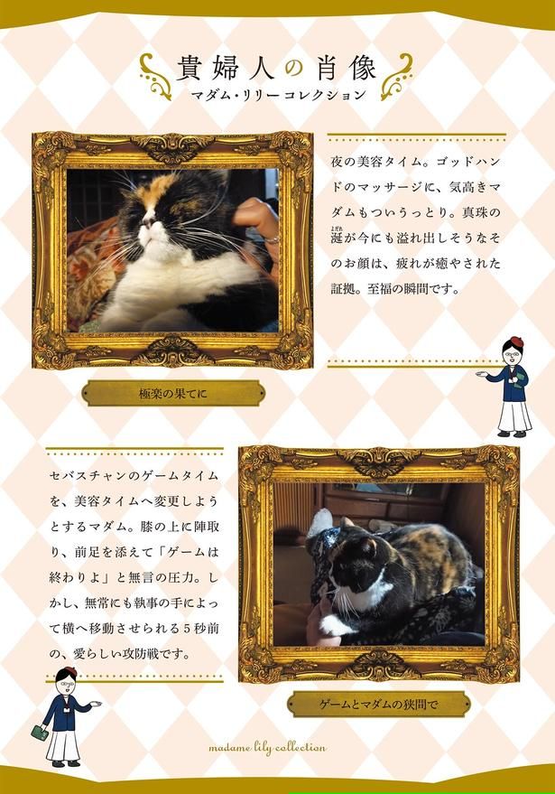 貴婦人の肖像 （C）かんさび／KADOKAWA