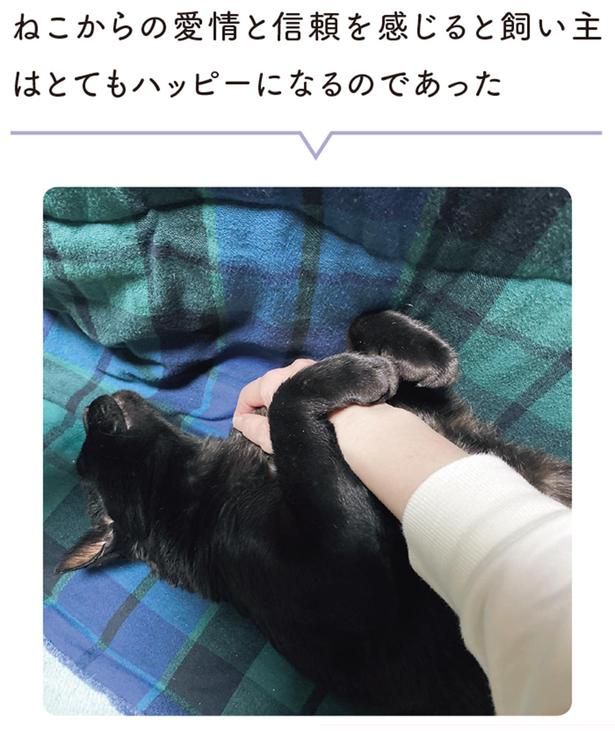 ねこからの愛情と信頼を感じると飼い主はとてもハッピーになるのであった （C）AKR／KADOKAWA