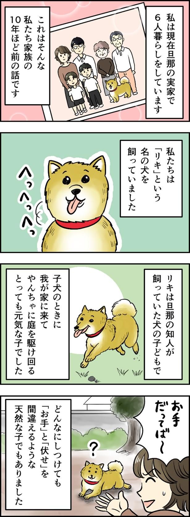 10年ほど前の話です （C）とんちきくま／毎日が発見ネット