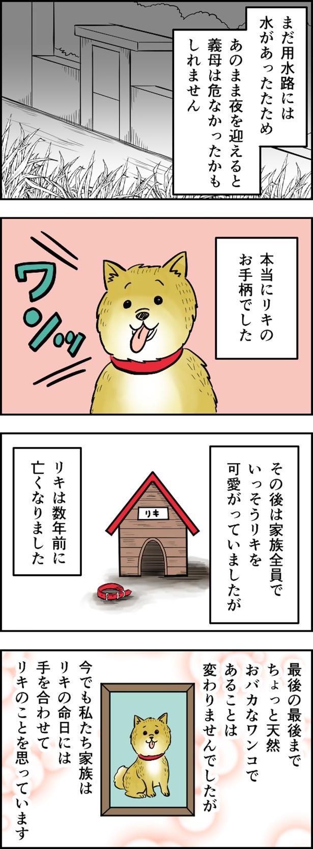 本当にお手柄でした （C）とんちきくま／毎日が発見ネット