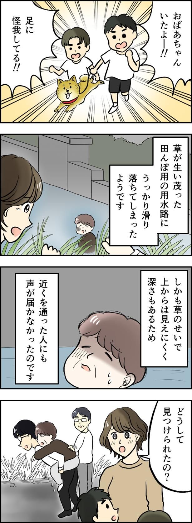どうして見つけられたの？ （C）とんちきくま／毎日が発見ネット