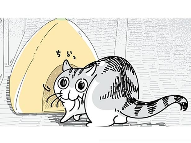気に入ってもらえなかった猫用のベッドに… （C）キュルZ／KADOKAWA