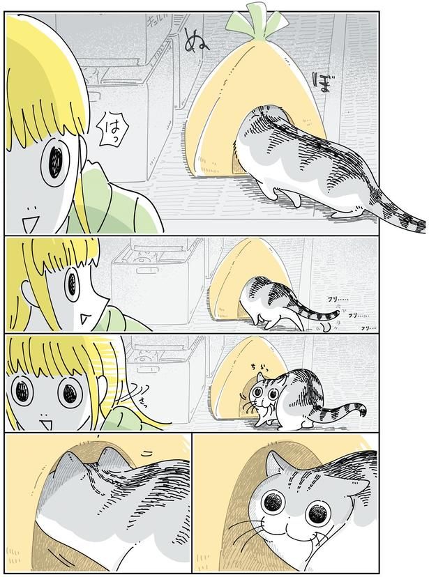 片付けようとしたのに （C）キュルZ／KADOKAWA