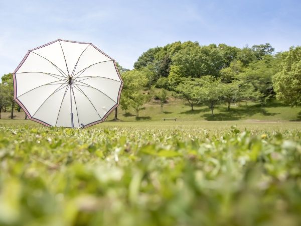日傘にはうれしい効果がたくさん！