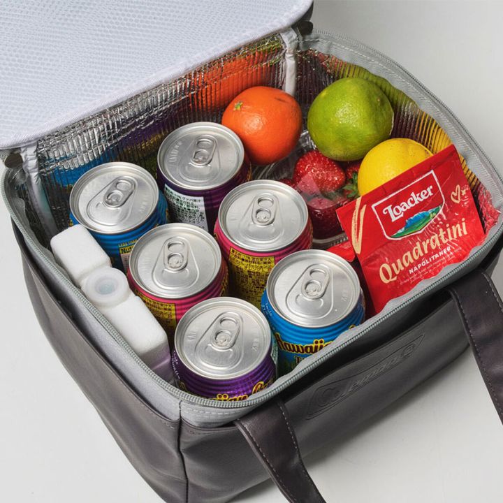 Coleman保冷バッグの中に缶飲料6本、果物、お菓子、保冷剤が入っている様子