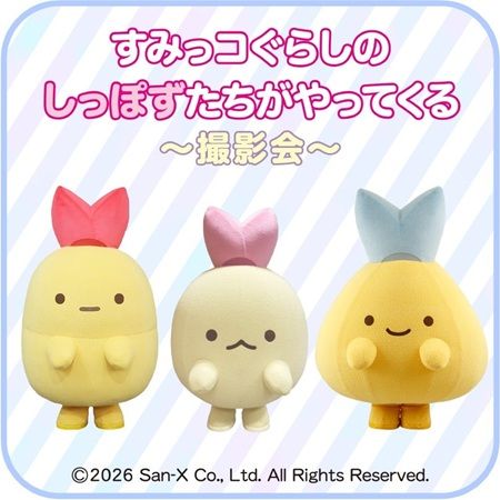 【茨城県大洗町】コラボフードやグッズを楽しめる「すみっコぐらし×アクアワールド大洗水族館」開催