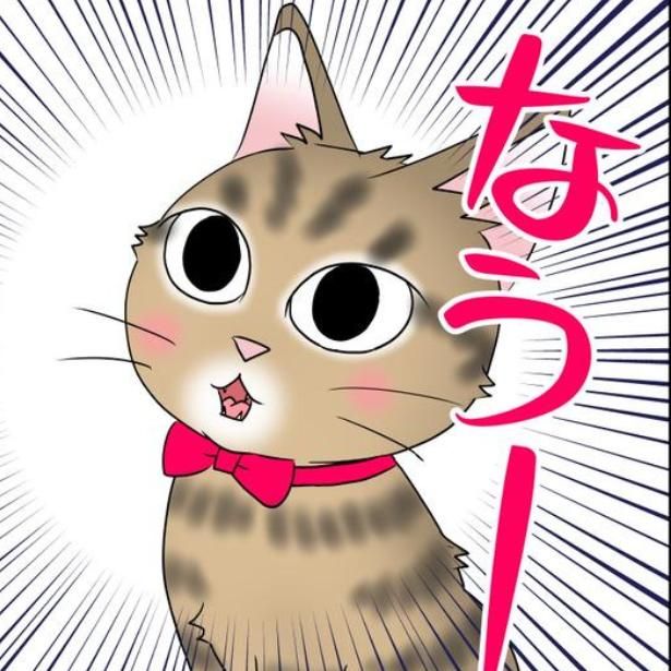 猫が来た日 画像提供：暁龍さん