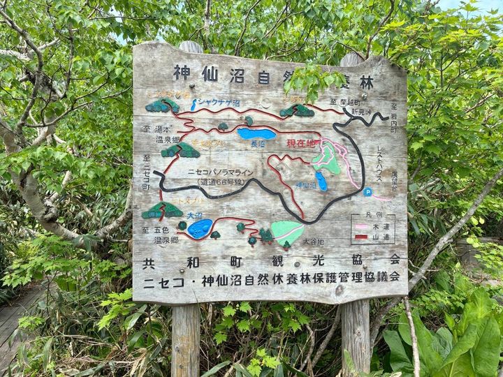 途中経過の看板