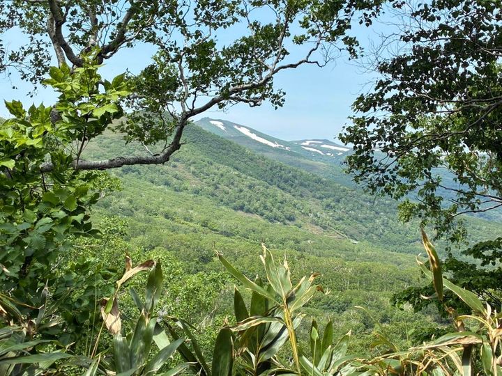 帰り道の風景