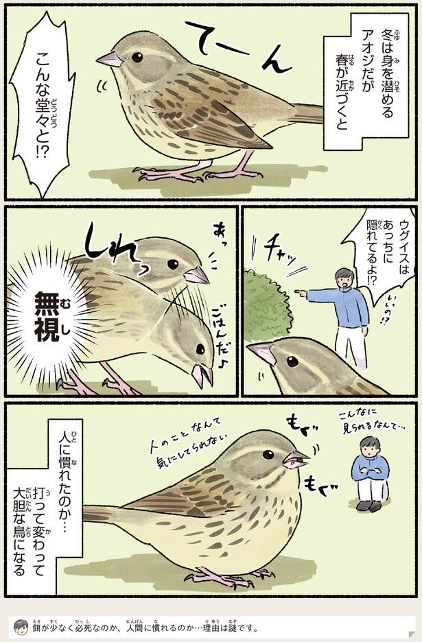 こんな堂々と！？ （C）piro piro piccolo／KADOKAWA