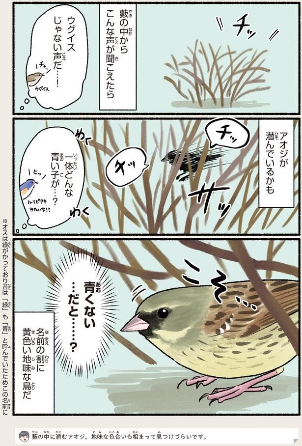 一体どんな青い子が…？ （C）piro piro piccolo／KADOKAWA