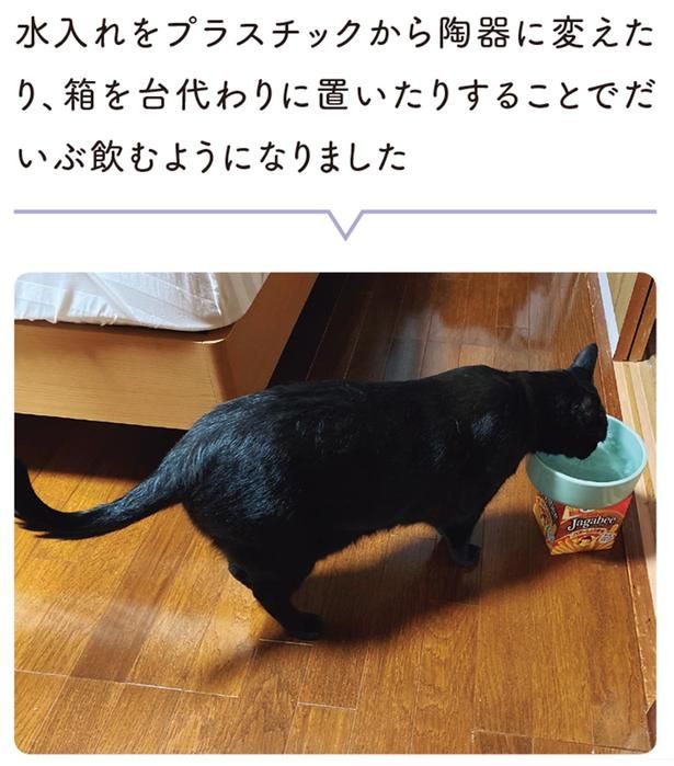 だいぶ飲むようになりました （C）AKR／KADOKAWA