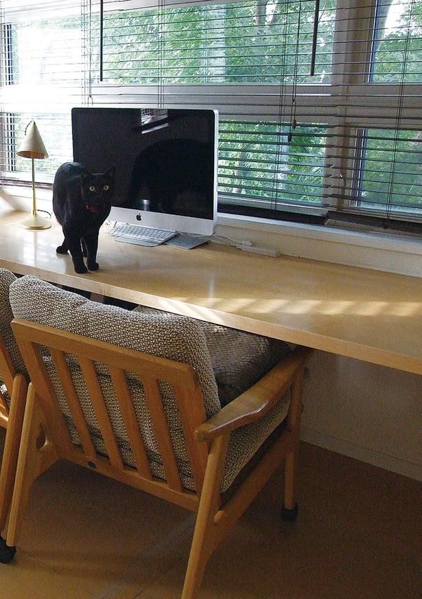 大事な家族の一員である、猫が頻繁に出入りする場所 (C)ゆるりまい／KADOKAWA