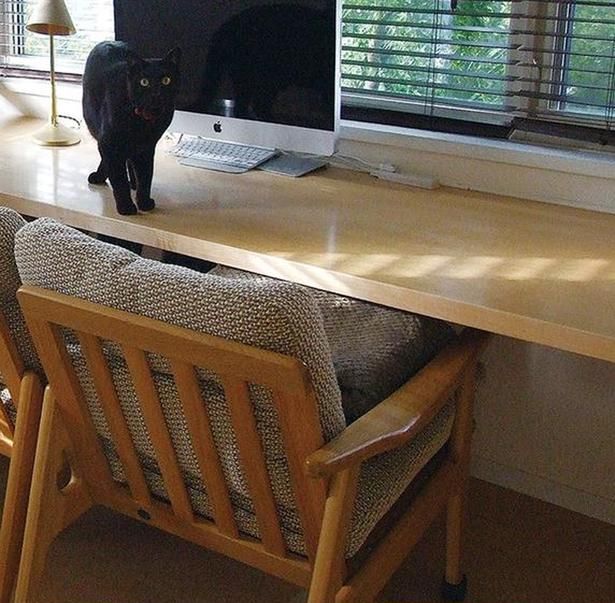 猫の安全のためにも、片っ端から片付けて「がらーん」とした状態に (C)ゆるりまい／KADOKAWA