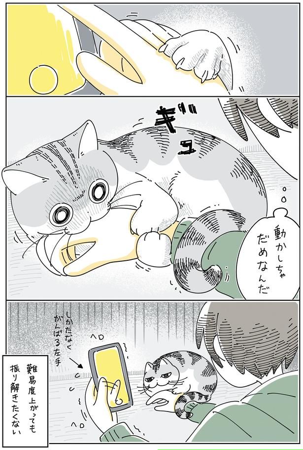 動かしちゃだめなんだ （C）キュルZ／KADOKAWA