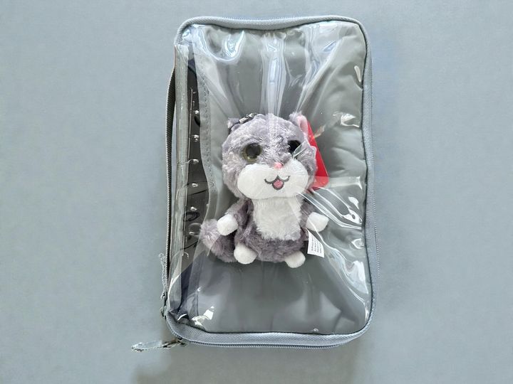 推しのぬいぐるみ代わりに筆者宅にあったものを入れてみました