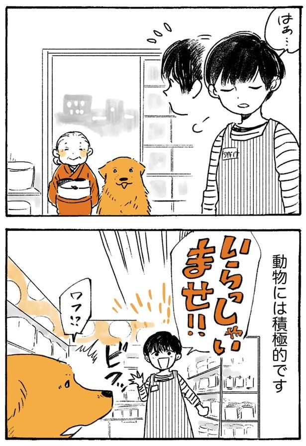 いらっしゃいませ！！ （C）佐倉イサミ／KADOKAWA