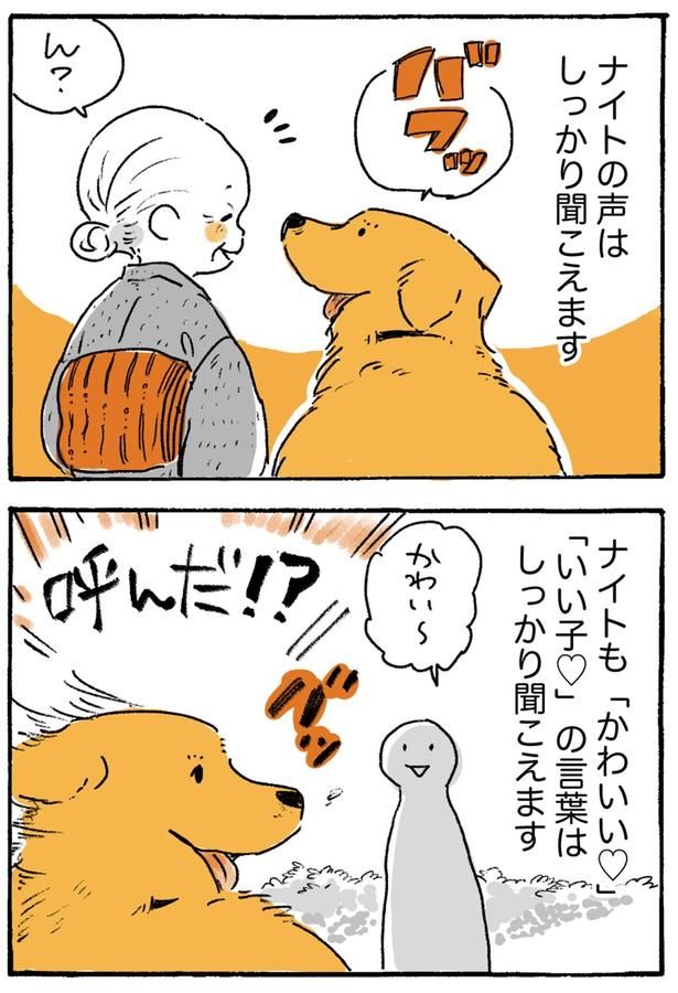 呼んだ！？ （C）佐倉イサミ／KADOKAWA