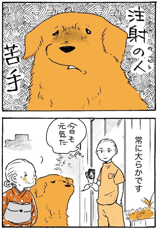 常に大らかです （C）佐倉イサミ／KADOKAWA