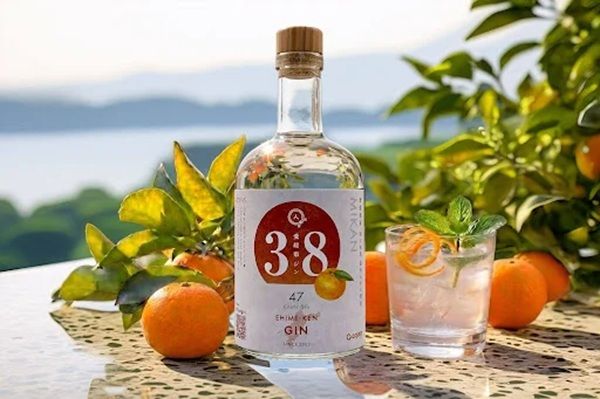 【愛媛県】西宇和産「温州みかん」を贅沢に使用したクラフトジンがクラファンを開始
