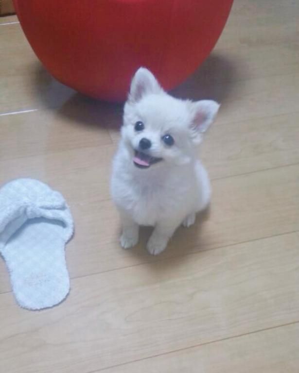 ちびっこ時代