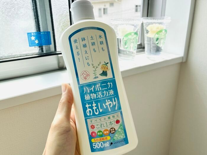 飲み終わったスタバカップ、捨てないで！上下ひっくり返すだけで