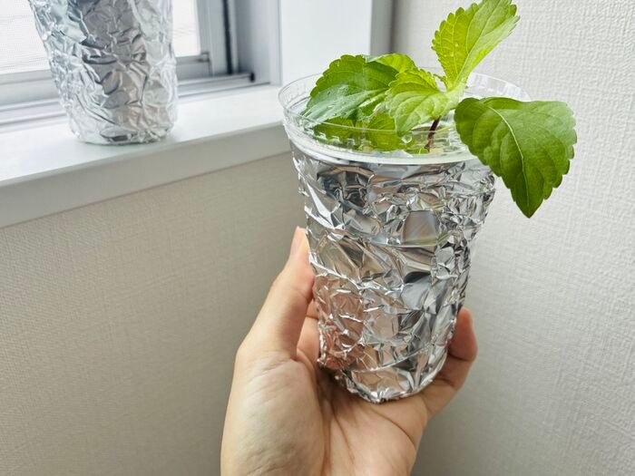 飲み終わったスタバカップ、捨てないで！上下ひっくり返すだけで