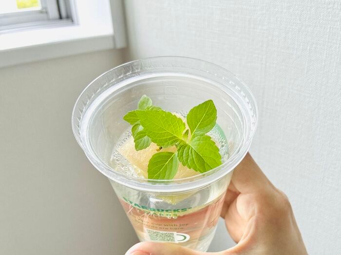 飲み終わったスタバカップ、捨てないで！上下ひっくり返すだけで