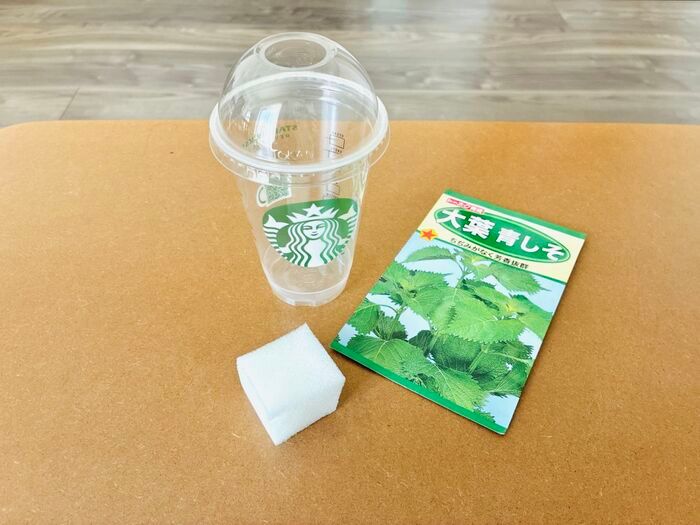飲み終わったスタバカップ、捨てないで！上下ひっくり返すだけで