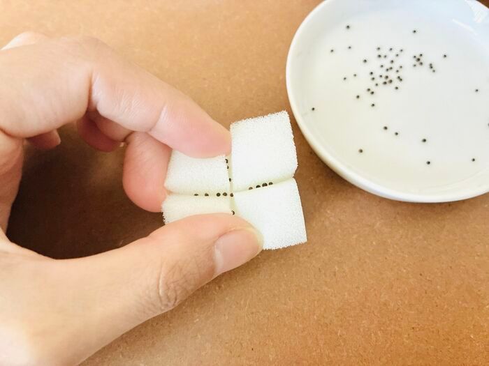 飲み終わったスタバカップ、捨てないで！上下ひっくり返すだけで